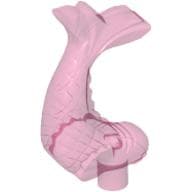 Animal, Fish, Ornamental