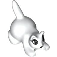 Animal, Cat, Kitten Crouching with Black Eyes, Eyelashes, and Nose Print