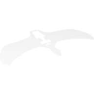 Wings, with White, Gray, and Blue Lightning Print