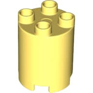 Duplo Brick Round 2 x 2 x 2