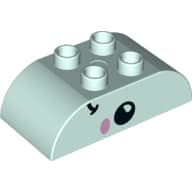Duplo Brick 2 x 4 Curved Top with Fish Face Print