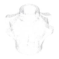 Weapon Mace with Spikes