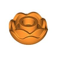 Plant, Flower, Peony Rose with 2 Layers