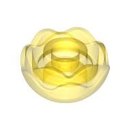 Plant, Flower, Peony Rose with 2 Layers