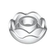 Plant, Flower, Peony Rose with 2 Layers