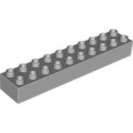 Duplo Brick 2 x 10