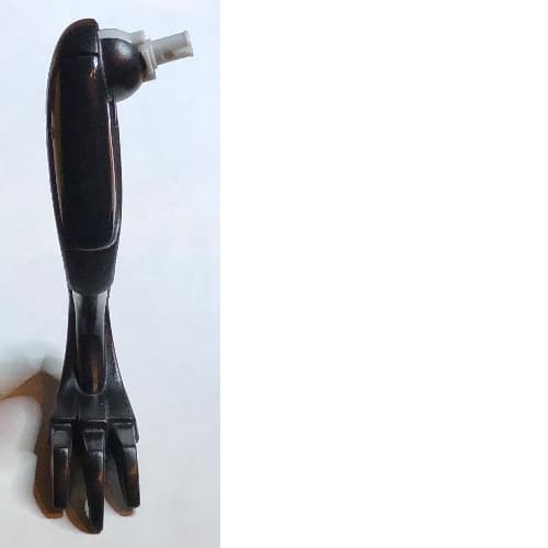 Animal Body Part, Dinosaur, Raptor Leg, Right