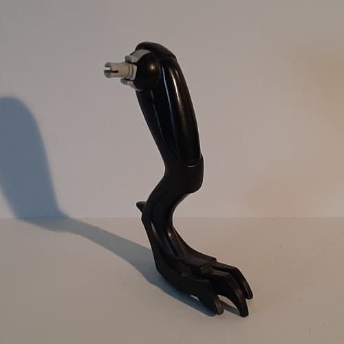 Animal Body Part, Dinosaur, Raptor Leg, Left