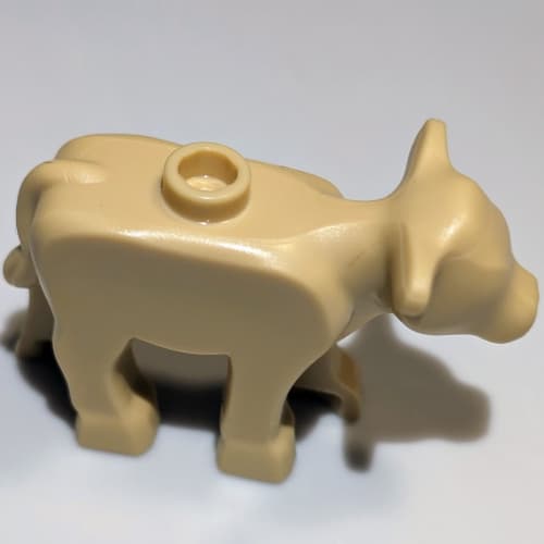 Animal, Cow, Baby / Calf [PLAIN]