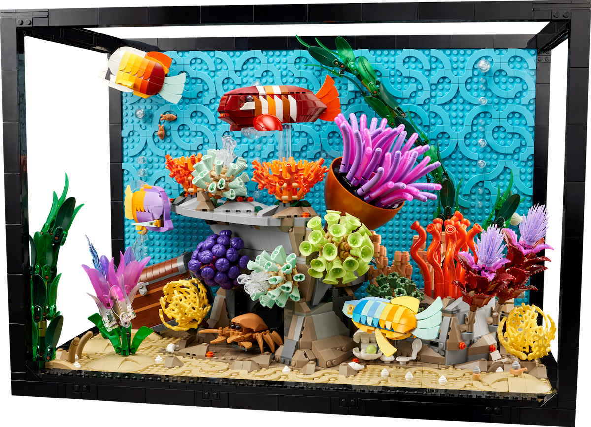Tropical Aquarium