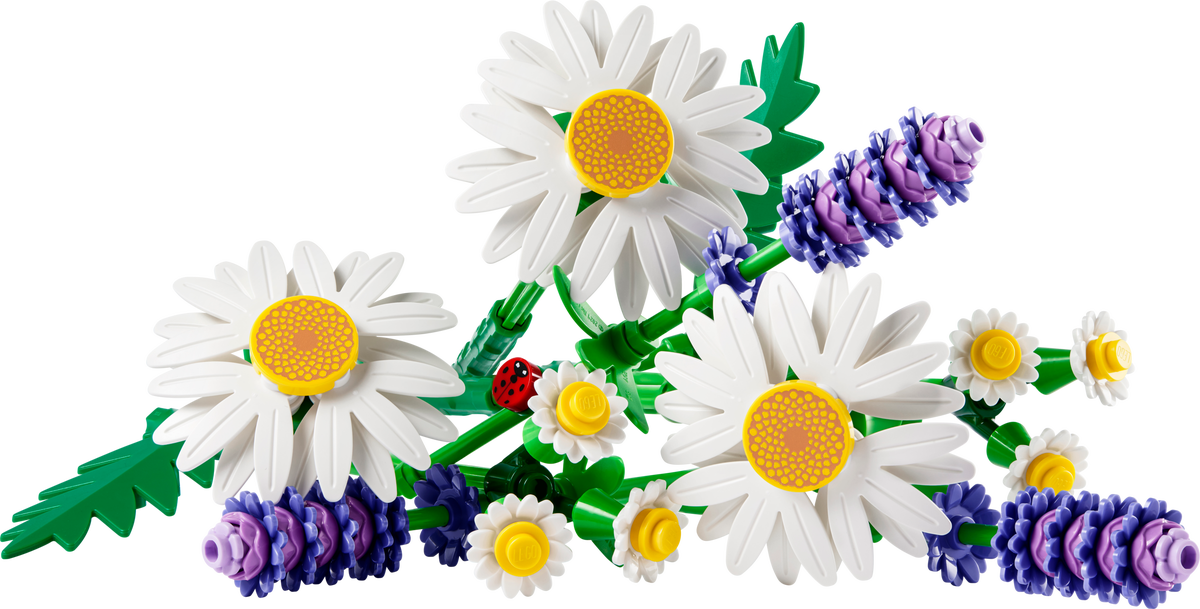 Daisies