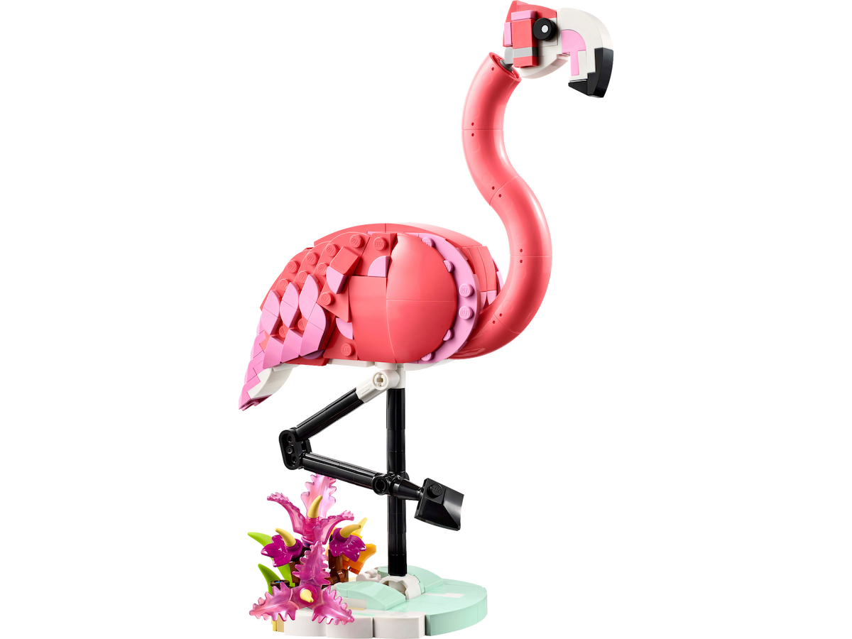 Wild Animals: Pink Flamingo