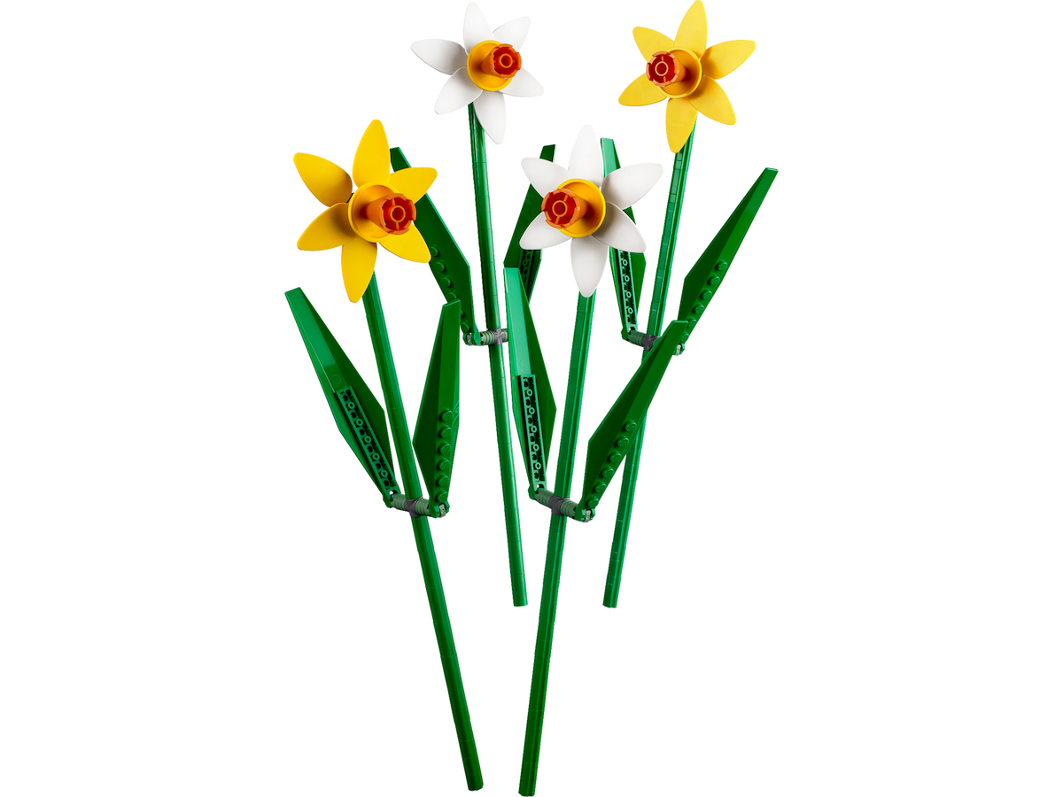 Daffodils