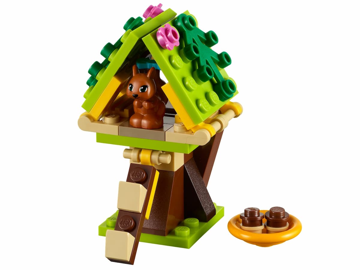Squirrel's Tree House