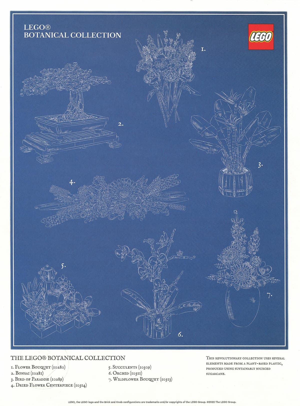 Botanical Collection Art Print – Blueprint