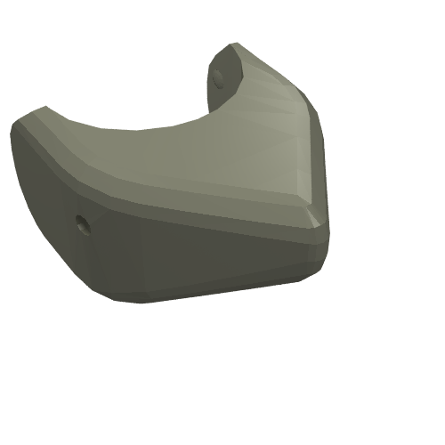 Animal Body Part, Shark Head