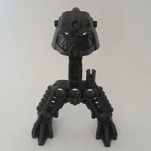 Large Figure Skeletal, Torso with Feet and Head (Piraka Reidak)