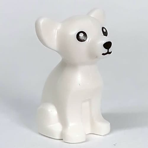 Animal, Dog, Chihuahua with Basic Face Print