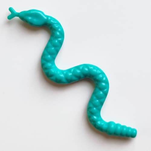 Animal, Snake, Small