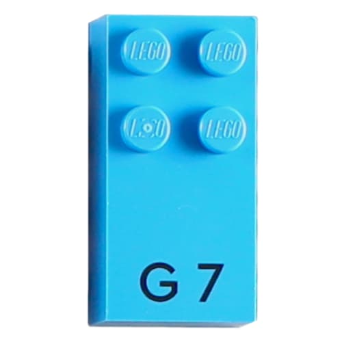 Braille Brick 2 x 4 with 4 Studs ⠛ and 'G 7' Print