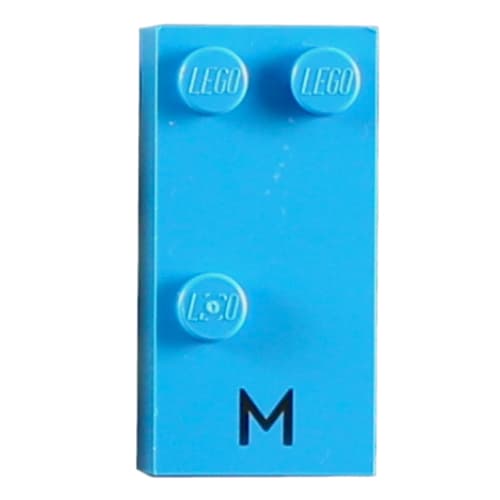 Braille Brick 2 x 4 with 3 Studs ⠍ and 'M' Print
